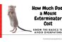 How Much Does a Mouse Exterminator Cost