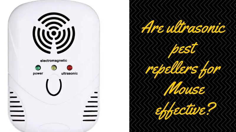 Ultrasonic Pest Repellent for Mouse