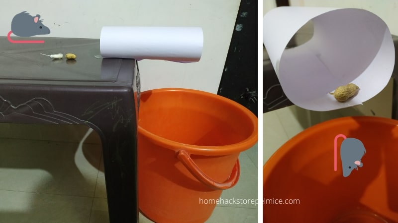 7 Effective Low Cost Diy Rat Traps Try Bucket Mouse Trap And Other Ideas - Making A Diy Humane Mouse Trap